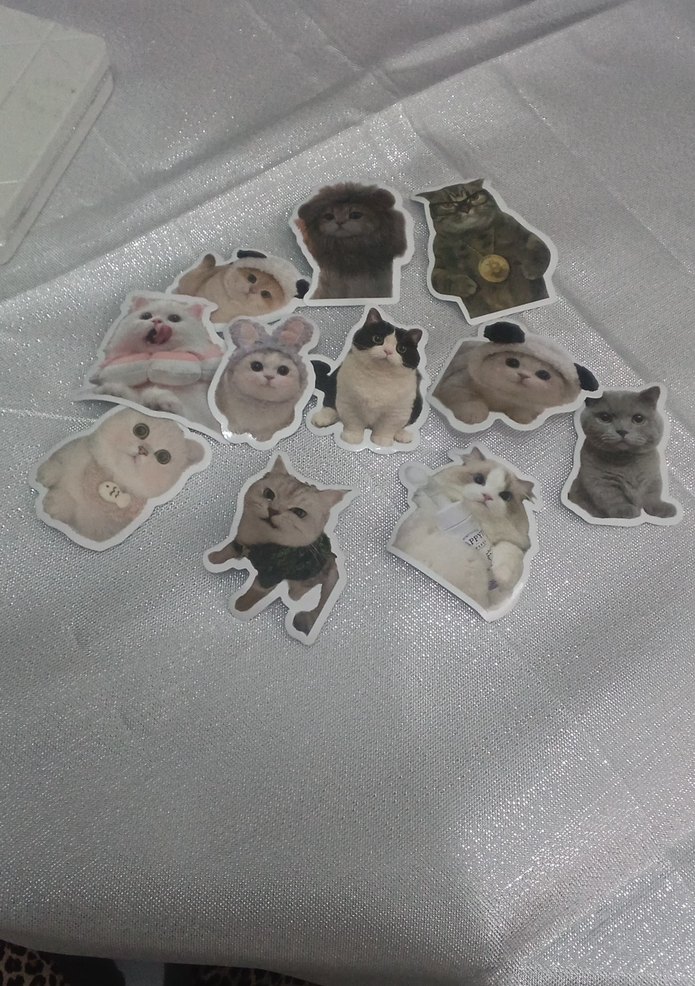 11 adet kedili sticker - Görsel 3