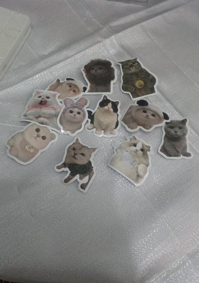 11 adet kedili sticker - Görsel 2