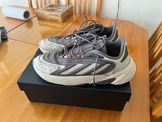 Adidas oznelia