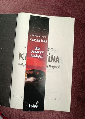  Beden karantina 1