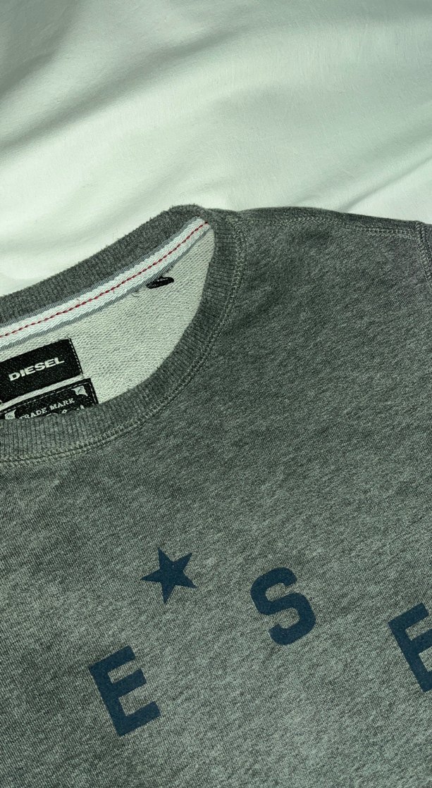 Gri Diesel Baskılı Unisex Sweatshirt - Görsel 2