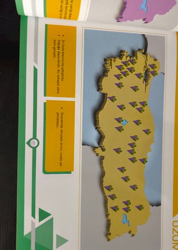 Haritalarla Coğrafya 2024 - Eğitim Kitabı - Görsel 6
