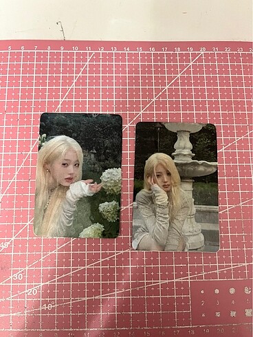 Wonyoung ikili PC