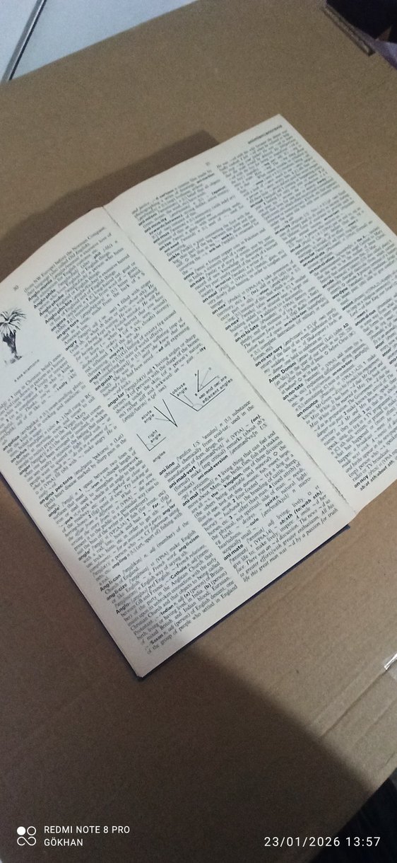 Oxford Advanced Learner's Dictionary İngilizce Sözlük - Görsel 3