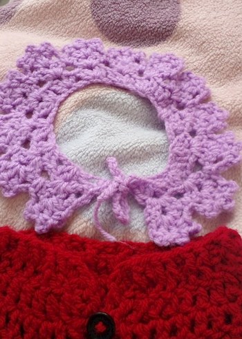 Bordo Renkli  kedi hırka yakalık. - Görsel 3