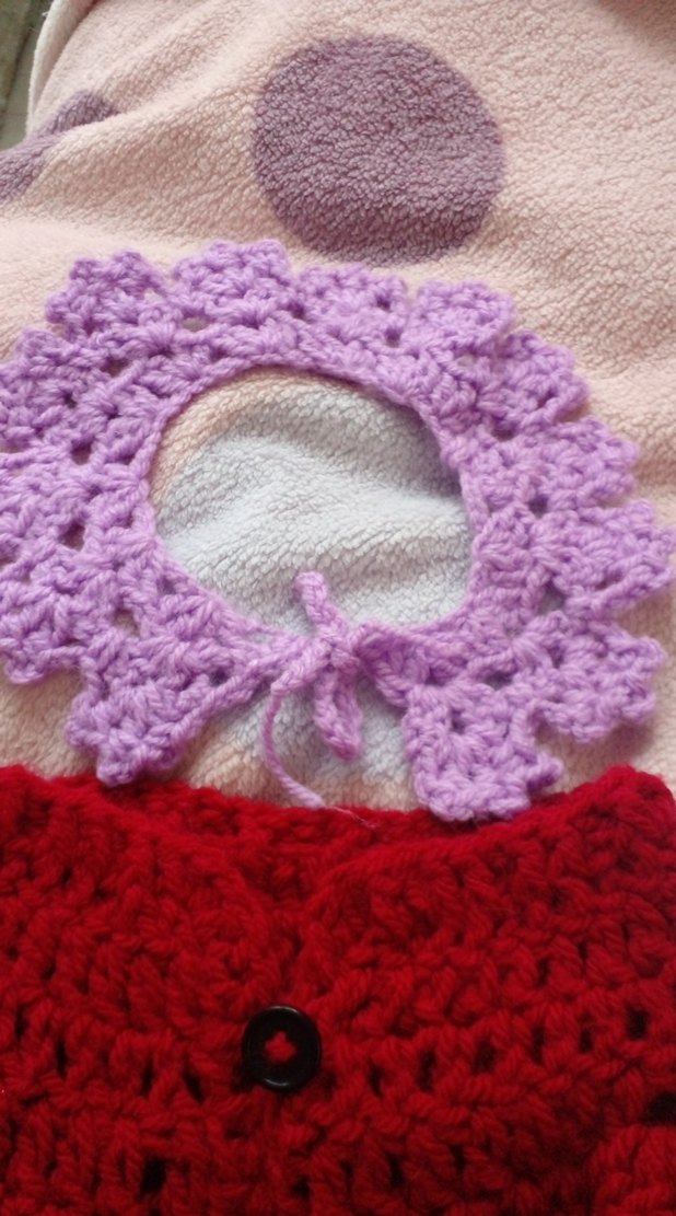 Bordo Renkli  kedi hırka yakalık. - Görsel 3