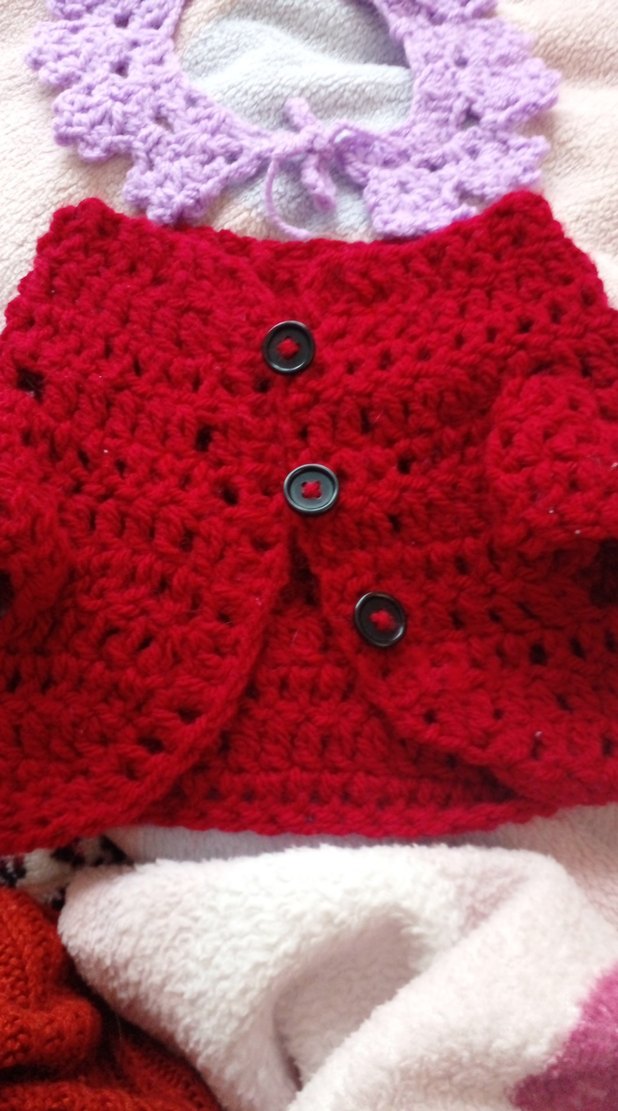 Bordo Renkli  kedi hırka yakalık. - Görsel 2