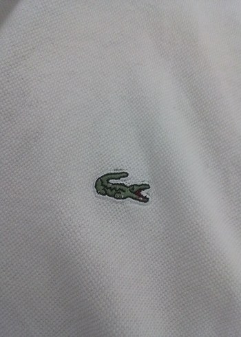 xl Beden Beyaz Lacoste Polo Yaka