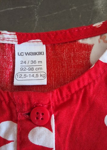 LC Waikiki 24-36 Ay