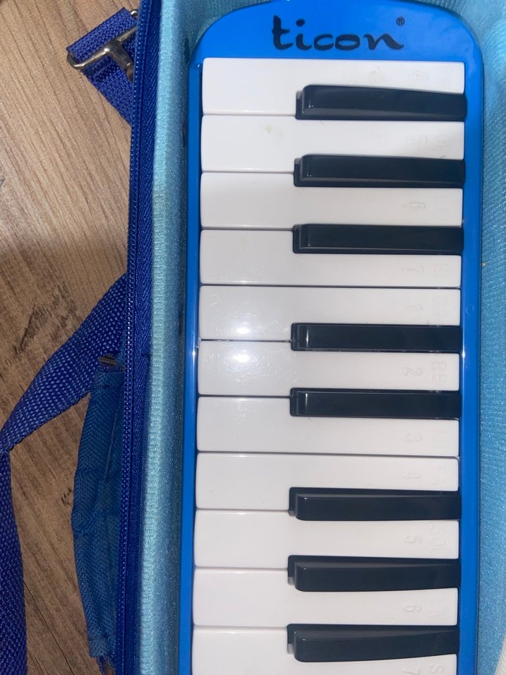 Parlak Mavi MELODİKA - Görsel 4