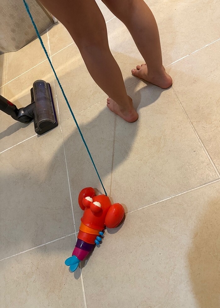 B Toys Çek çek Istakoz - Görsel 4