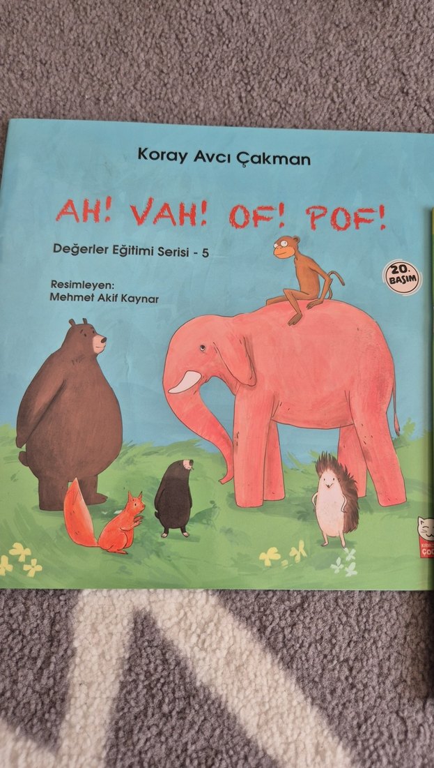 Koray Avcı Çakman Çocuk Kitapları Seti - Görsel 2