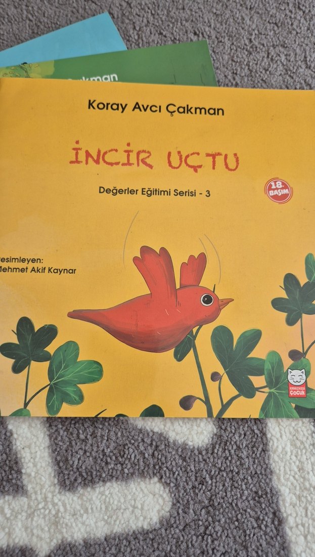 Koray Avcı Çakman Çocuk Kitapları Seti - Görsel 4