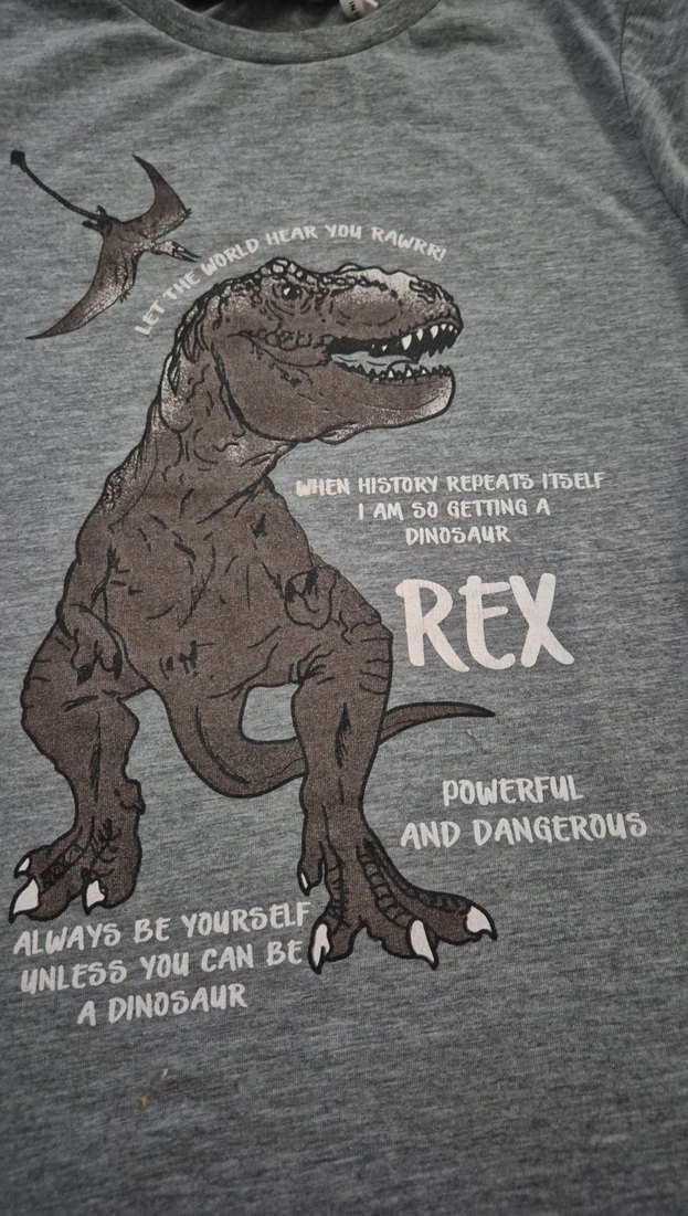 Gri Kısa Kollu Erkek Tişört Dinozor Baskılı - Görsel 2
