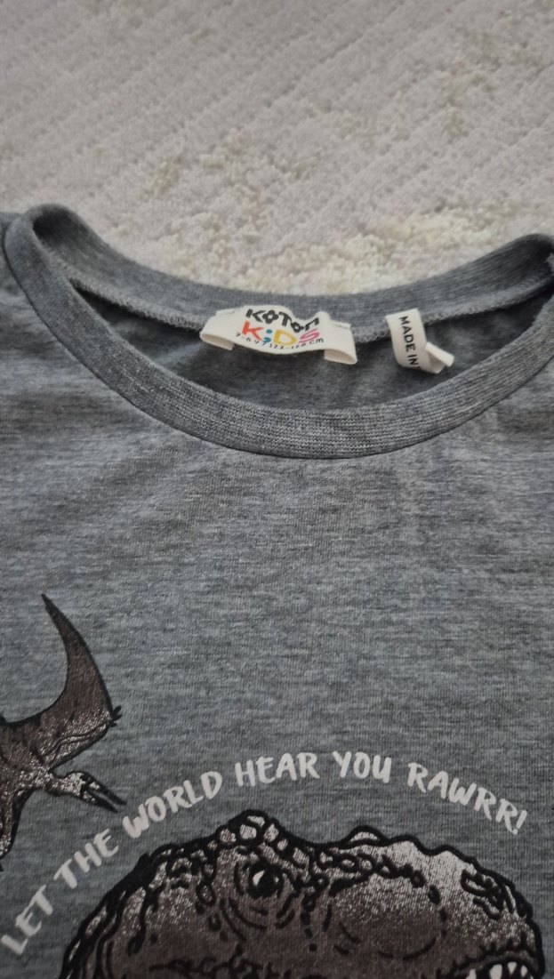 Gri Kısa Kollu Erkek Tişört Dinozor Baskılı - Görsel 3