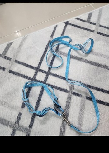 Koyu Mavi Sırt Çantası Evcil Taşıyıcı 
kutu ve tasma3lü set - Görsel 9