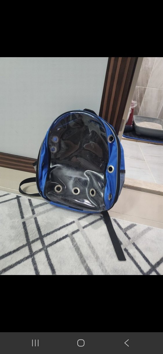 Koyu Mavi Sırt Çantası Evcil Taşıyıcı 
kutu ve tasma3lü set - Görsel 2