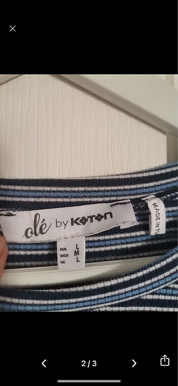 Koton çizgili crop
