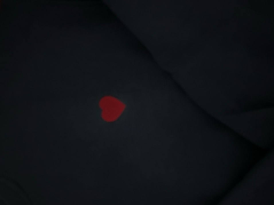 Düğmeli Nakışlı Mavi Kadın Sweatshirt - Görsel 2