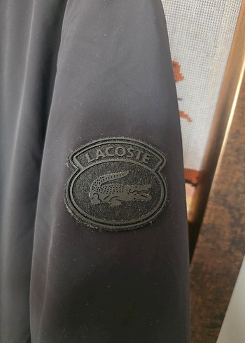Orijinal Lacoste Mont - Görsel 4