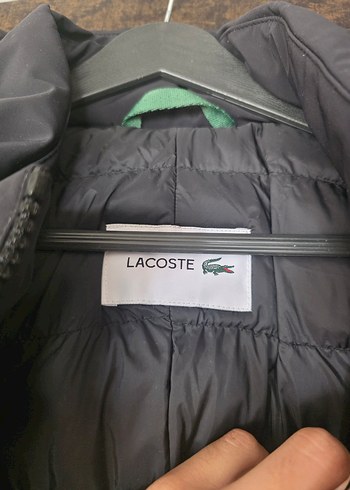 Orijinal Lacoste Mont - Görsel 8