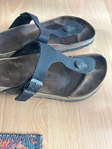 37 Beden Birken terlik