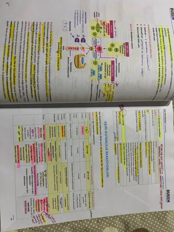 Tıbbi Mikrobiyoloji Kitabı - DUSEM - Görsel 2