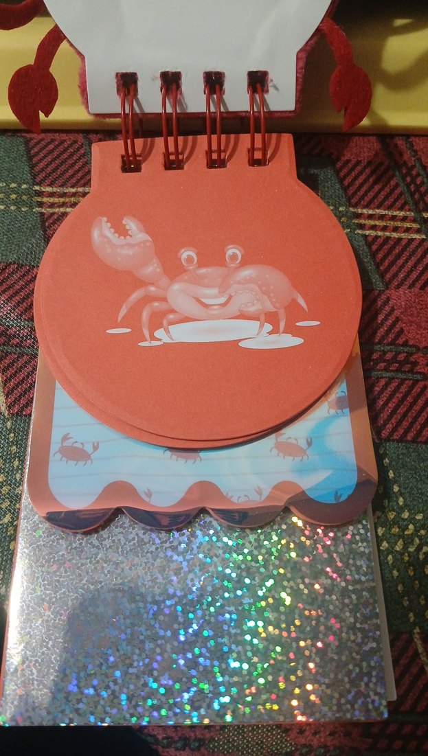 Renkli Pembe Peluş Yengeç Not Defteri - Görsel 2