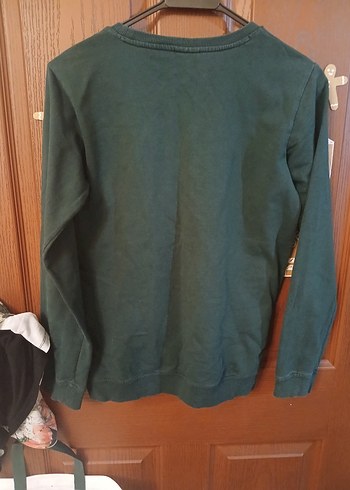 USPA Logolu Erkek Haki Sweatshirt - Görsel 7
