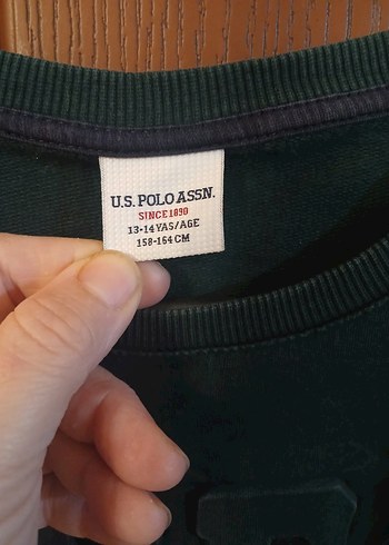 USPA Logolu Erkek Haki Sweatshirt - Görsel 4