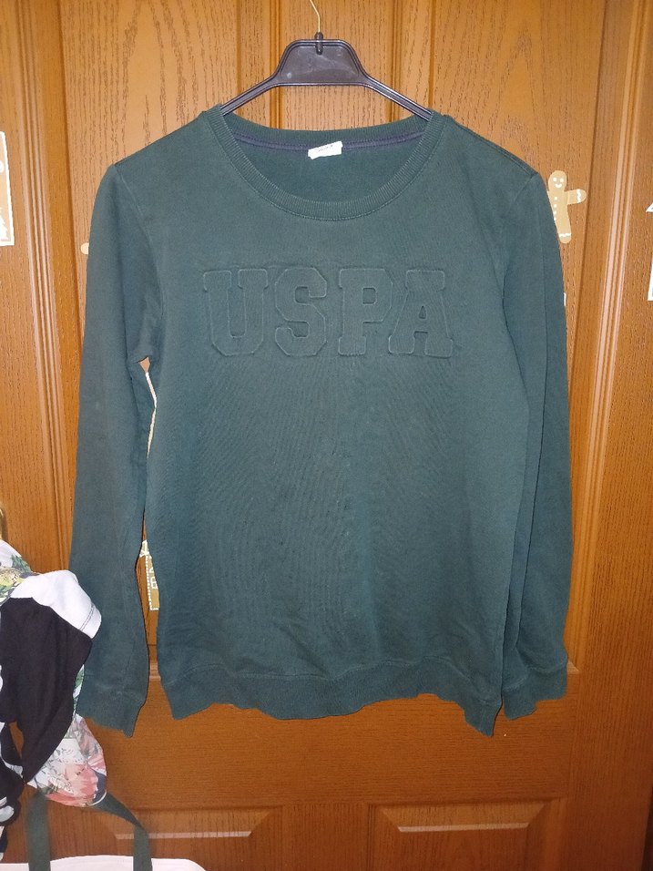 USPA Logolu Erkek Haki Sweatshirt - Görsel 3