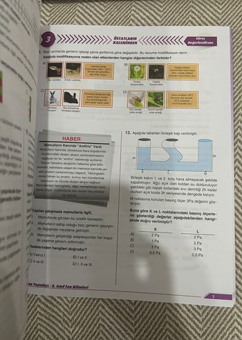 Beden Renk Newton Yayınları üstatların kaleminden Fen Bilgisi Lgs Deneme