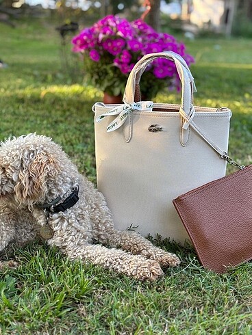Lacoste anna çanta
