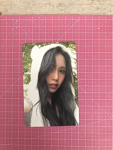 Twice orjinal bear Mina kart hasarsız