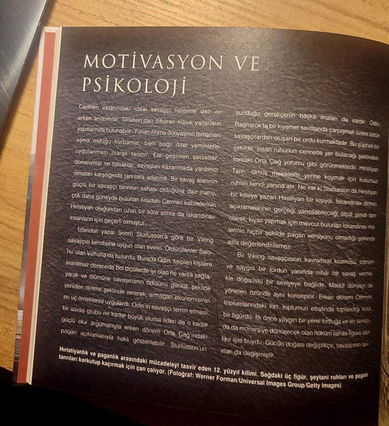 Vikingler - Tarih Kitabı Ciltli - Görsel 2