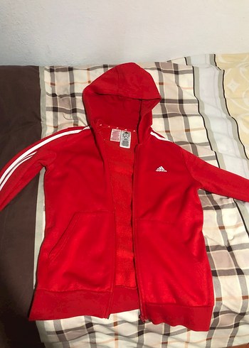 Adidas l