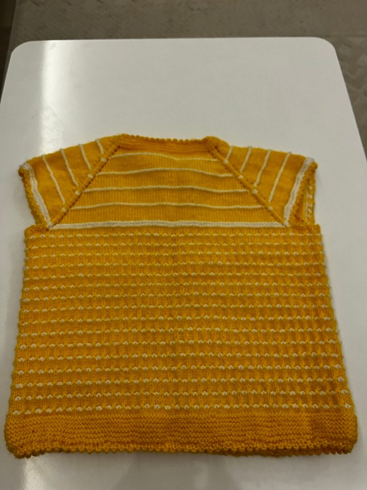 Sarı yelek - Görsel 2