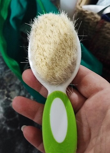 Bebek tarağı  - Görsel 2