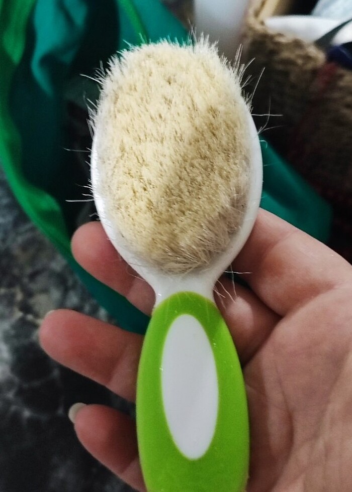 Bebek tarağı  - Görsel 2