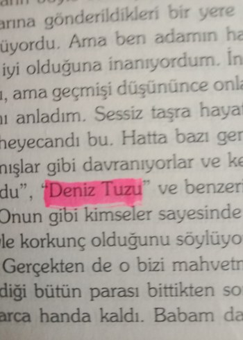Beden Renk Define Adası - Robert L. Stevenson