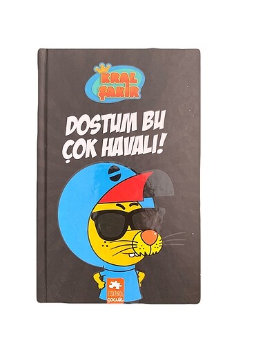 Kral Şakir Dostum bu çok havalı kitap