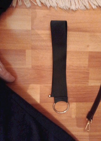 Kahverengi Köpek Tasması - Görsel 3