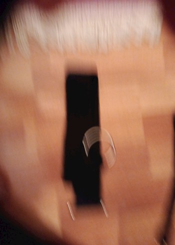 Kahverengi Köpek Tasması - Görsel 4