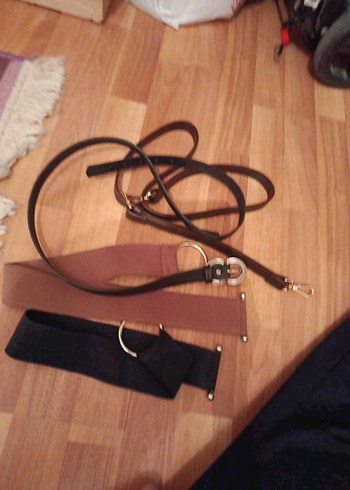 Kahverengi Köpek Tasması - Görsel 5