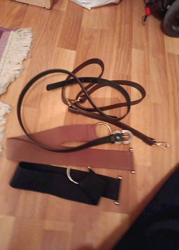 Kahverengi Köpek Tasması - Görsel 6