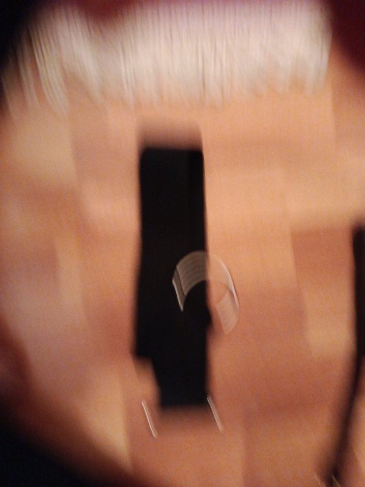 Kahverengi Köpek Tasması - Görsel 4