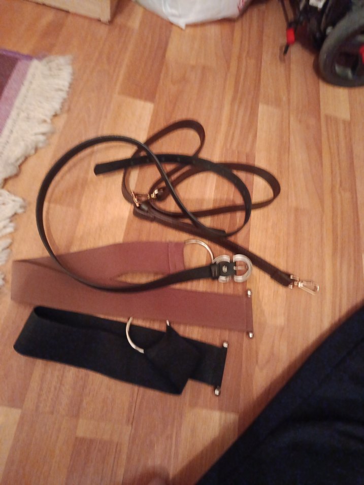 Kahverengi Köpek Tasması - Görsel 5