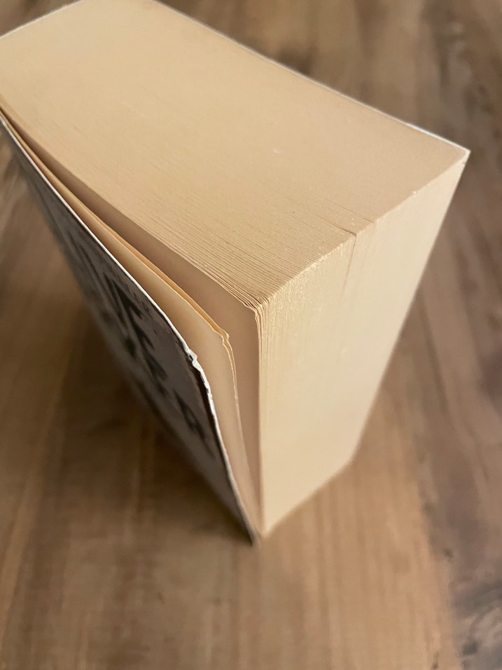 Clive Barker - Weaveworld - Görsel 4