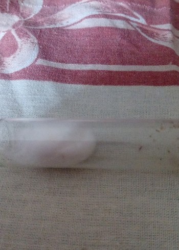 test tupu