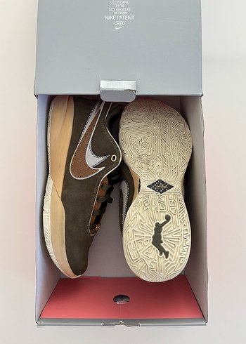 Lebron 20 özel renk - Görsel 2